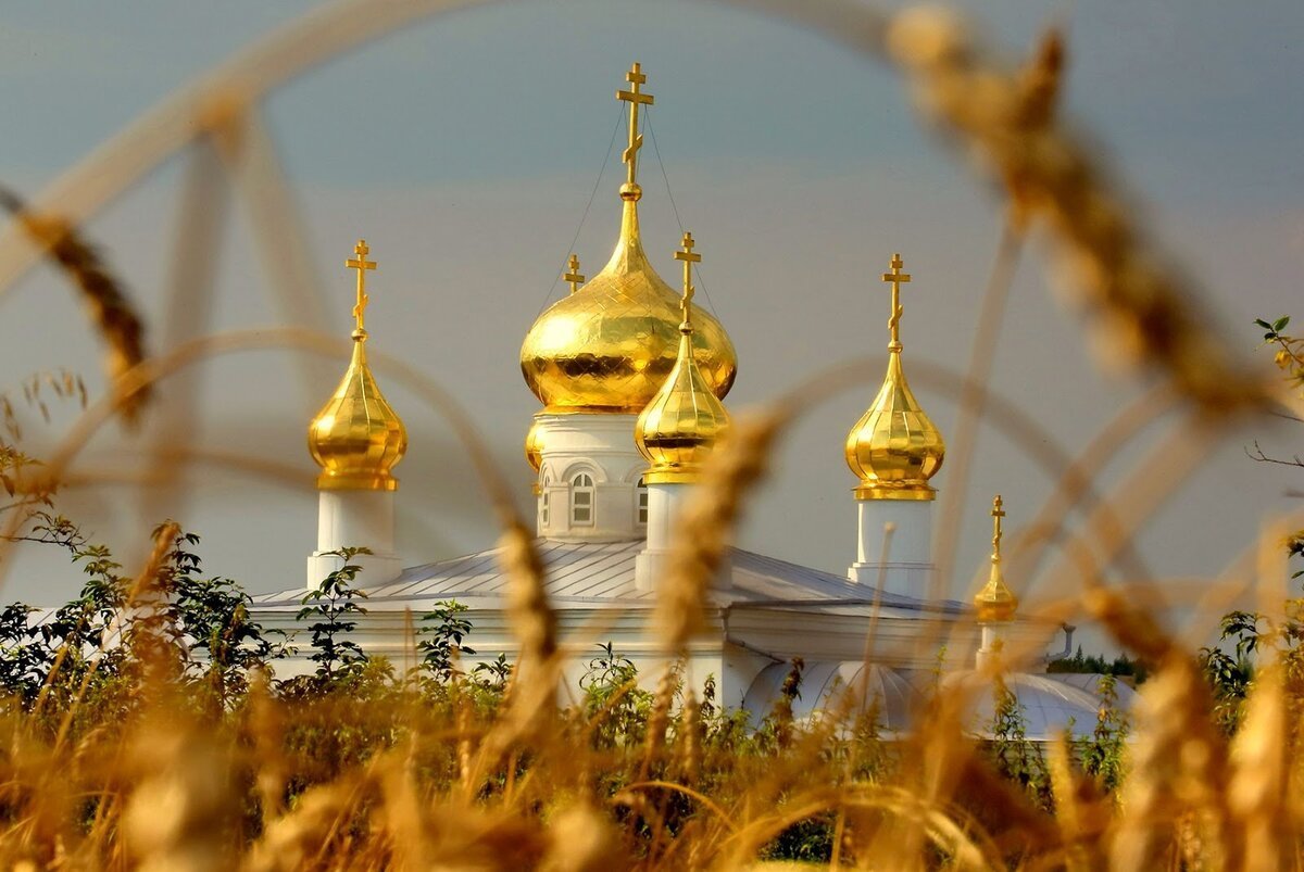 Какие традиции церковного праздника святых Пимена и Марина и народного Марина-Пимены 20 августа 2024 года
