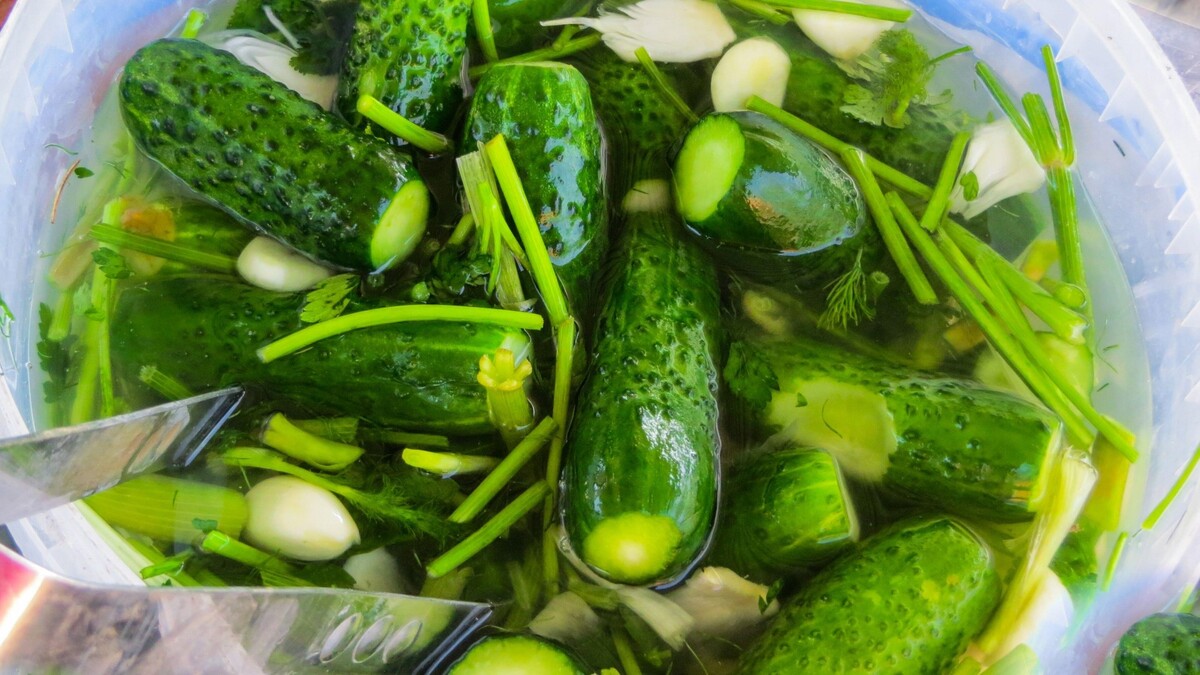 Вкусные простые рецепты засолки огурцов на зиму