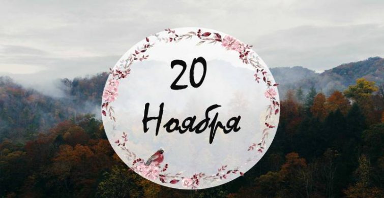 Всемирный день ребенка и День абсурда: самые важные праздники 20 ноября 2024 года
